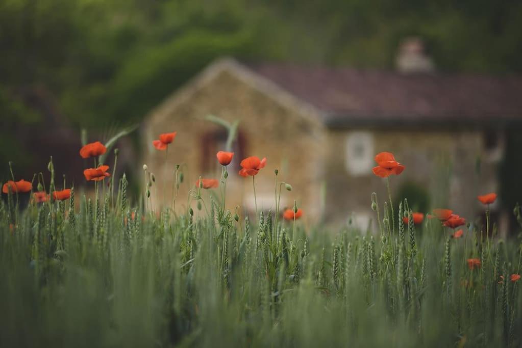Le Pressoir - Domaine Du Chateau De La Bourlie - Boutique Villa Up To 12 Guests Urval Экстерьер фото